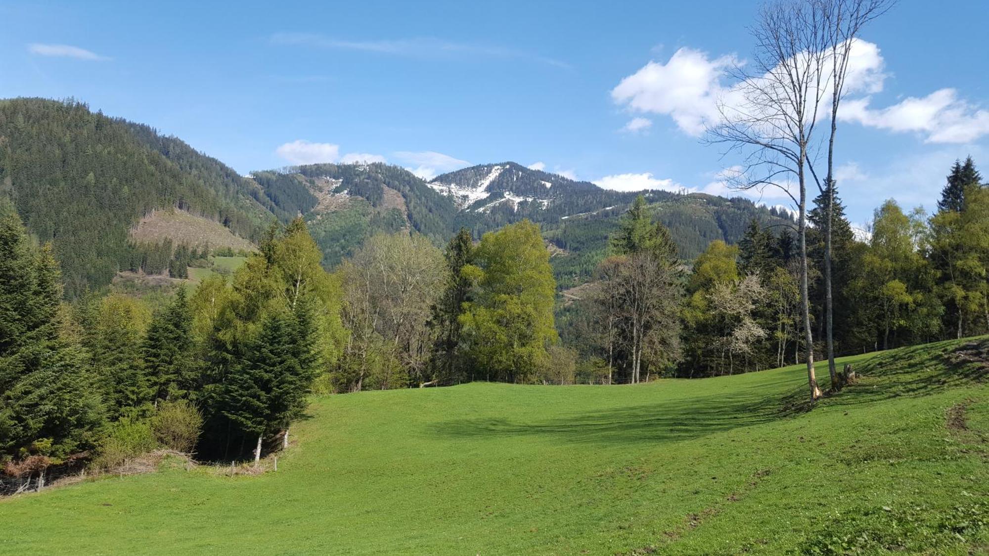 Kloiberhof Villa Oblarn ภายนอก รูปภาพ